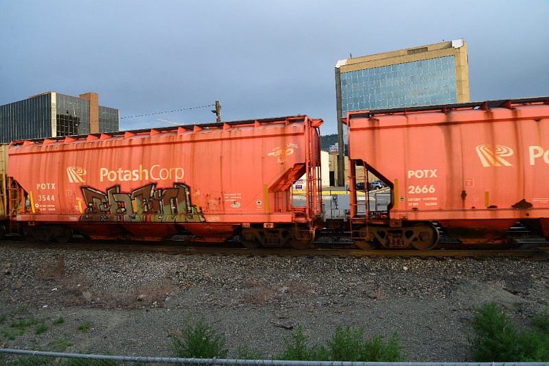DSC_1138.JPG