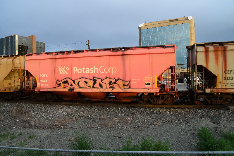 DSC_1141.JPG