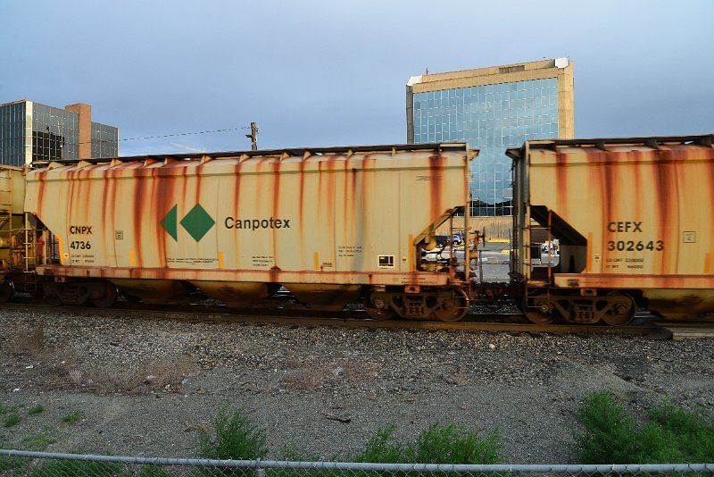DSC_1144.JPG