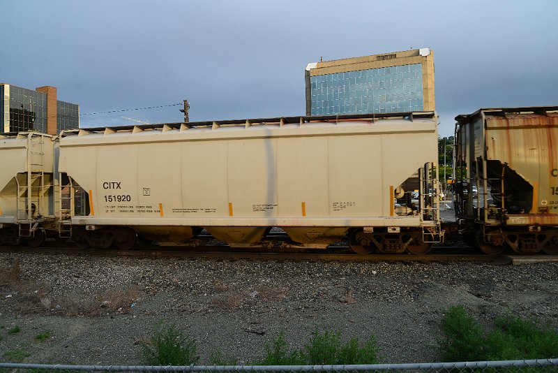 DSC_1151.JPG