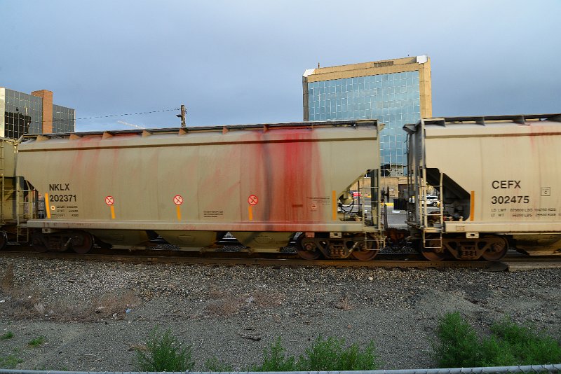 DSC_1153.JPG