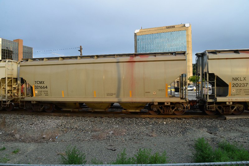 DSC_1154.JPG