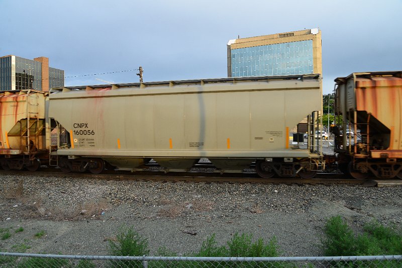 DSC_1161.JPG