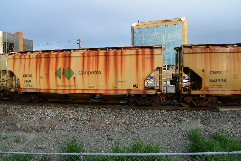 DSC_1165.JPG