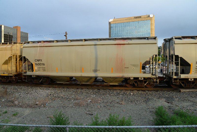 DSC_1167.JPG