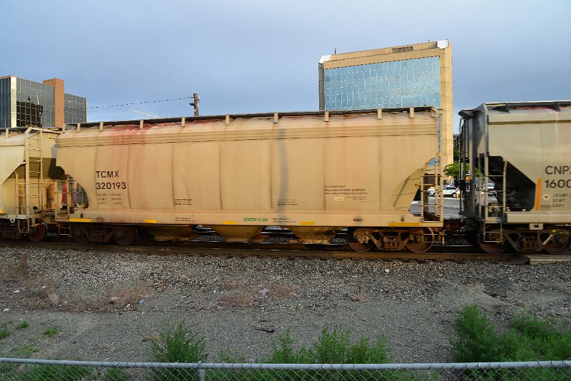 DSC_1168.JPG