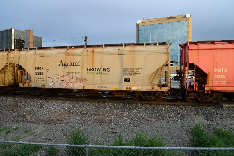 DSC_1185.JPG