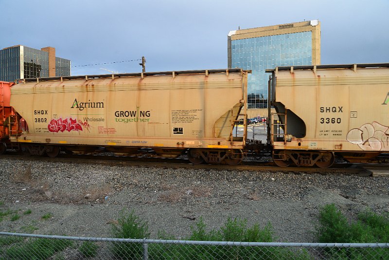 DSC_1186.JPG