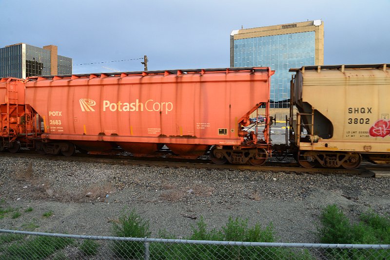 DSC_1187.JPG