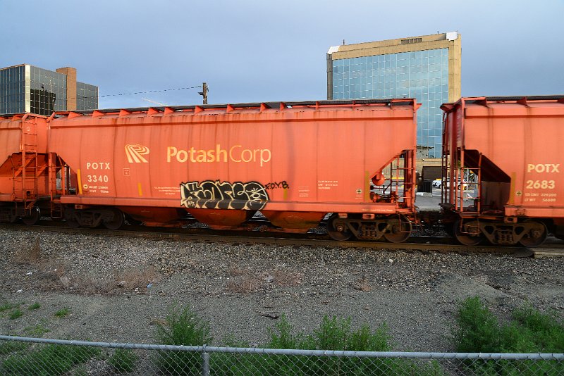 DSC_1188.JPG