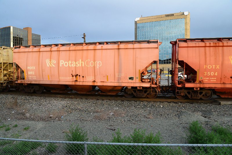 DSC_1190.JPG