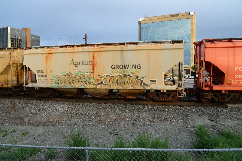 DSC_1195.JPG
