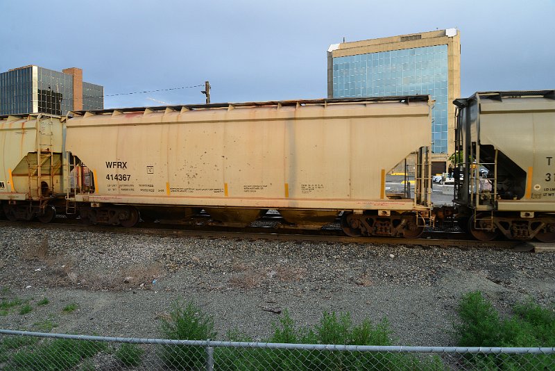 DSC_1198.JPG