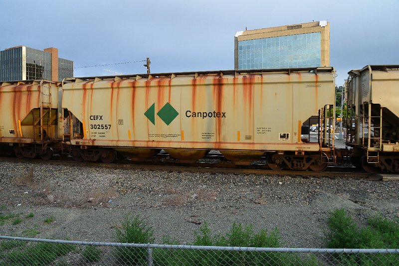 DSC_1199.JPG
