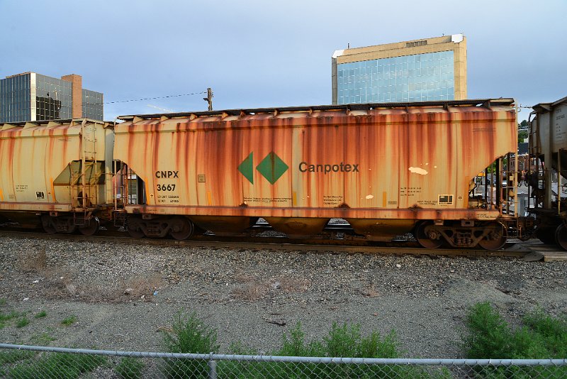 DSC_1201.JPG