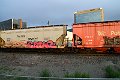 DSC_1139