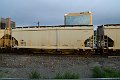 DSC_1156