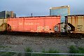 DSC_1184
