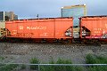 DSC_1194