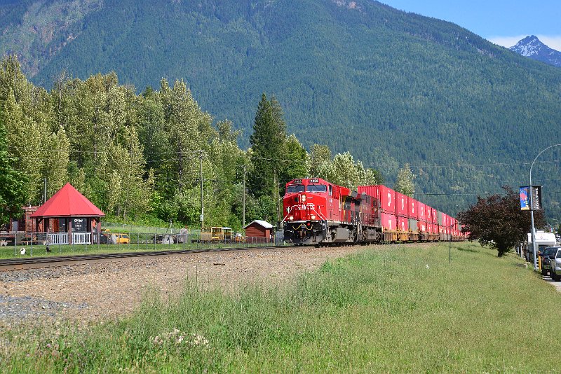 DSC_1531.JPG