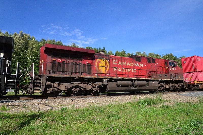 DSC_1537.JPG