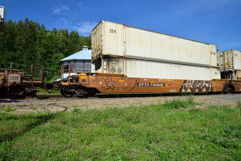 DSC_1601.JPG