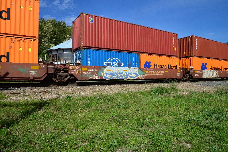 DSC_1634.JPG