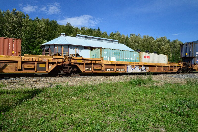 DSC_1659.JPG