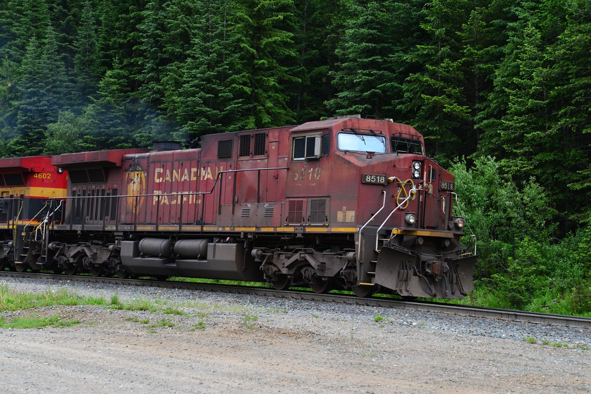 DSC_1888.JPG