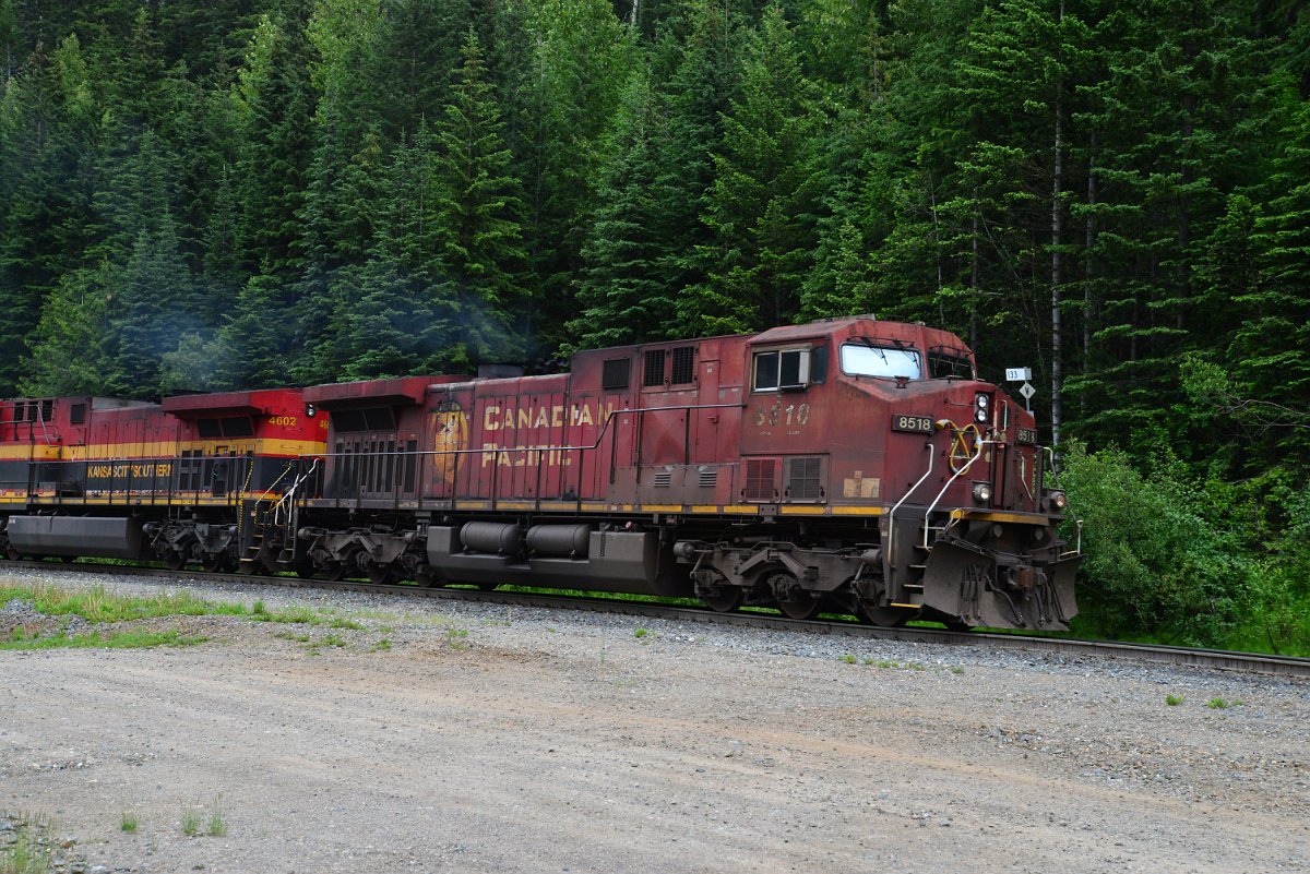 DSC_1889.JPG