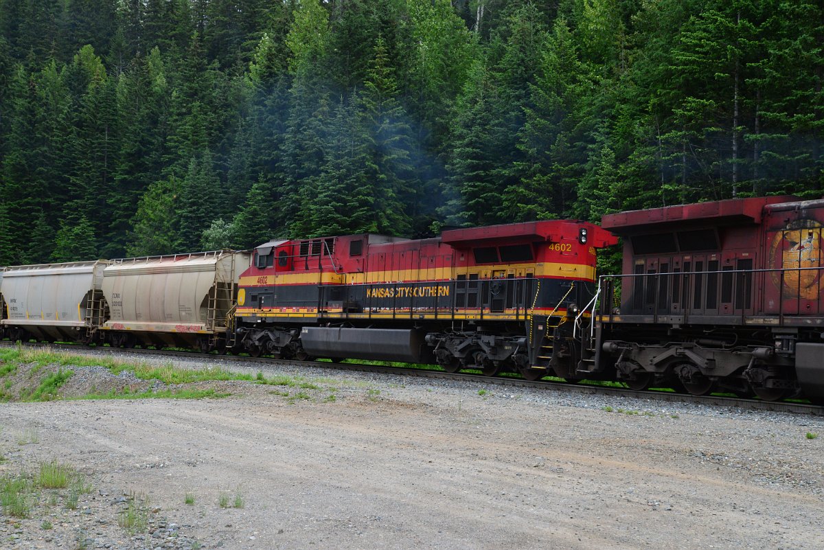 DSC_1890.JPG