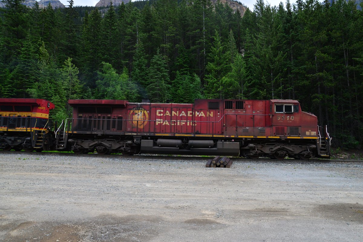 DSC_1891.JPG