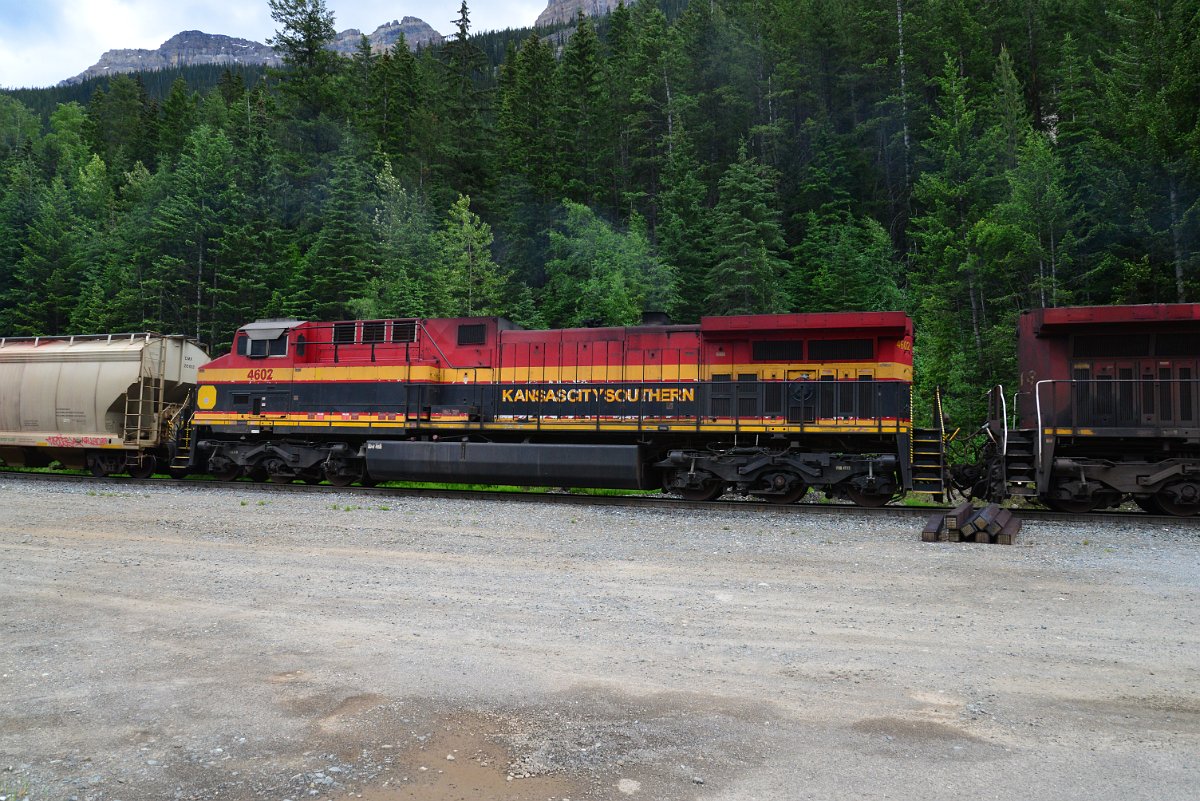DSC_1892.JPG