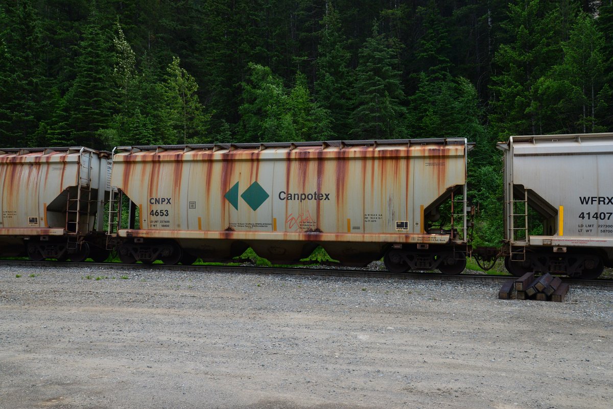 DSC_1895.JPG