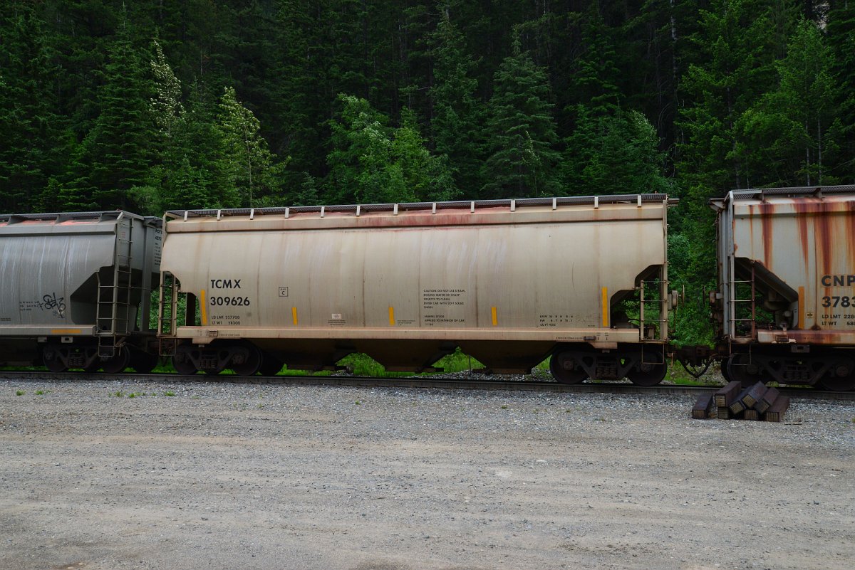 DSC_1897.JPG