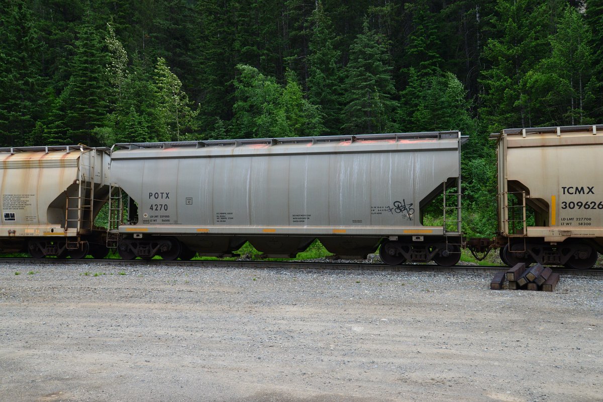 DSC_1898.JPG