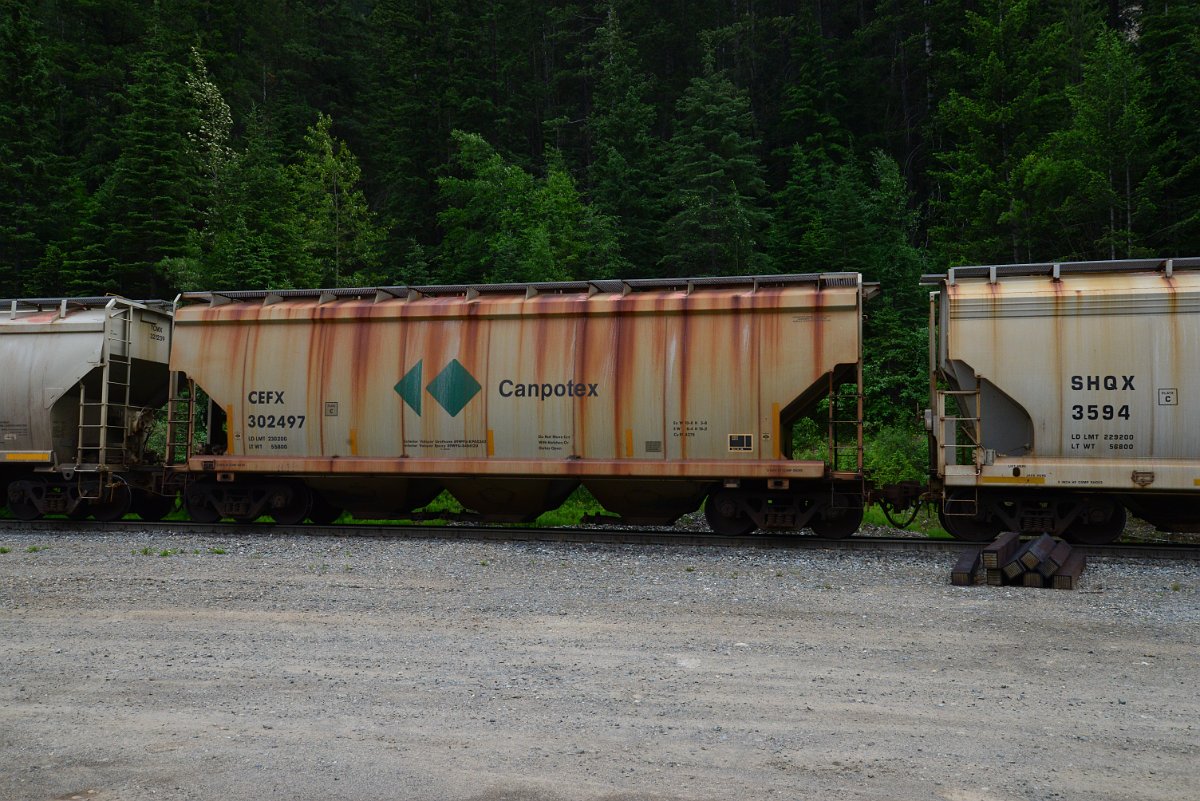 DSC_1900.JPG