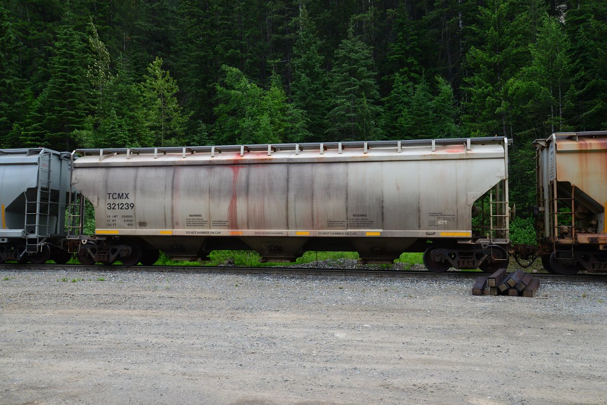DSC_1901.JPG