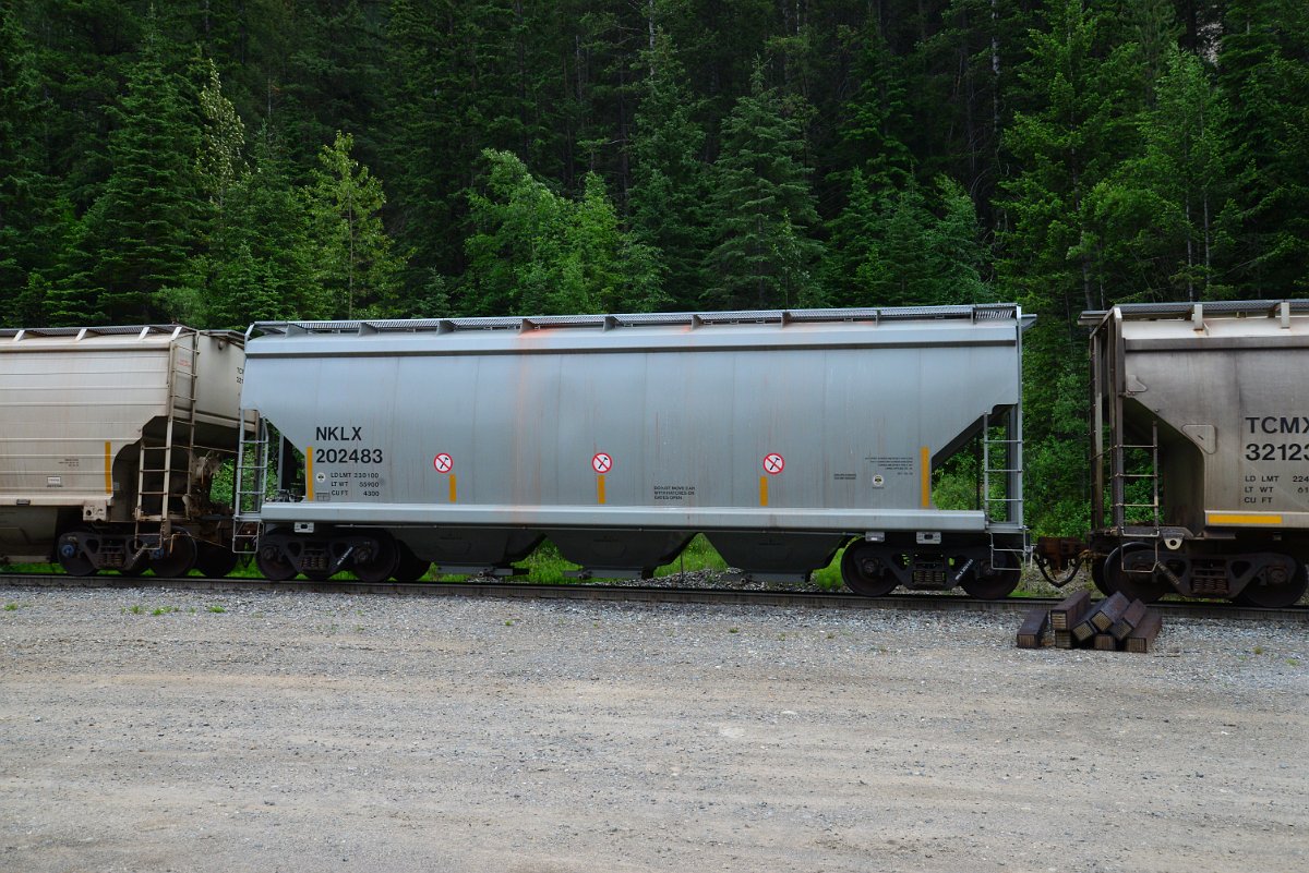 DSC_1902.JPG