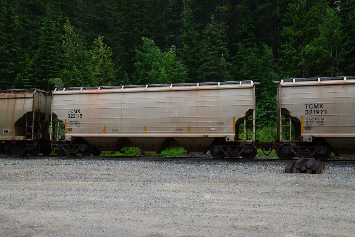 DSC_1905.JPG