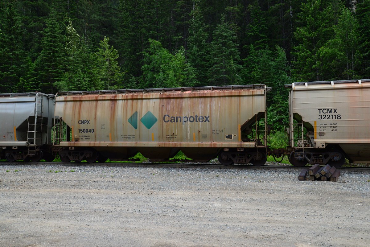 DSC_1906.JPG
