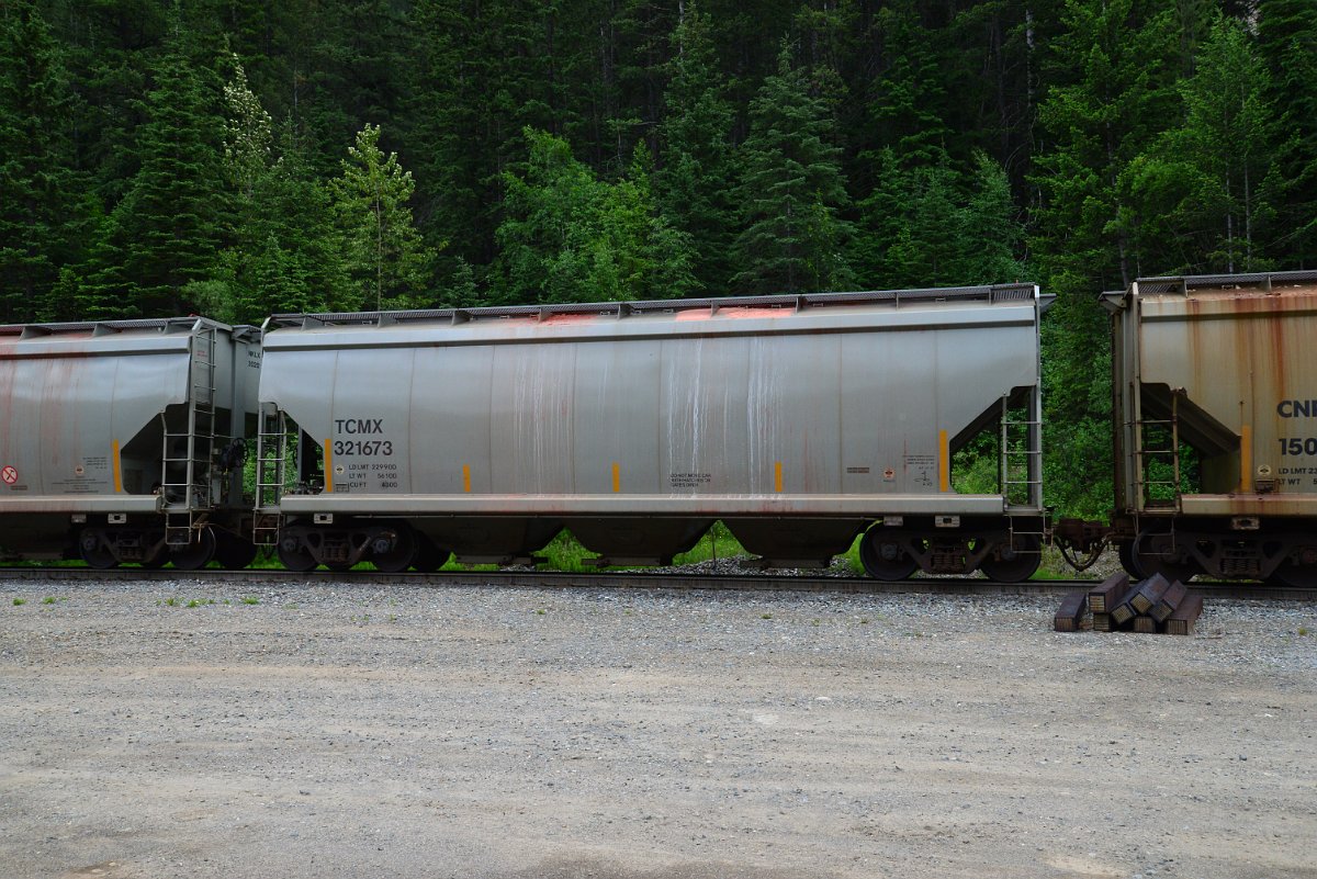 DSC_1907.JPG