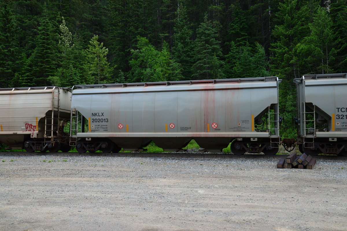 DSC_1908.JPG