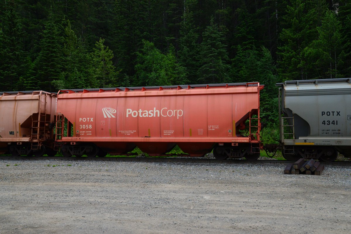 DSC_1915.JPG