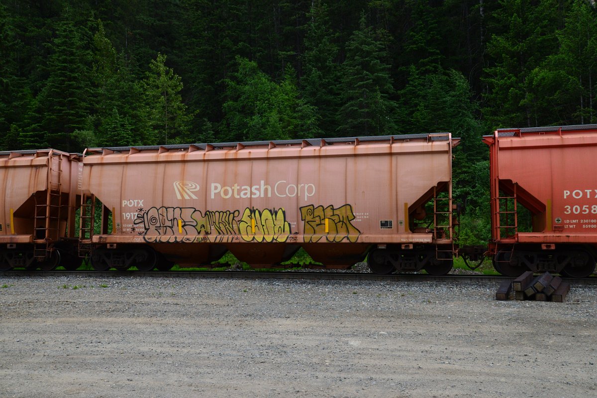 DSC_1916.JPG