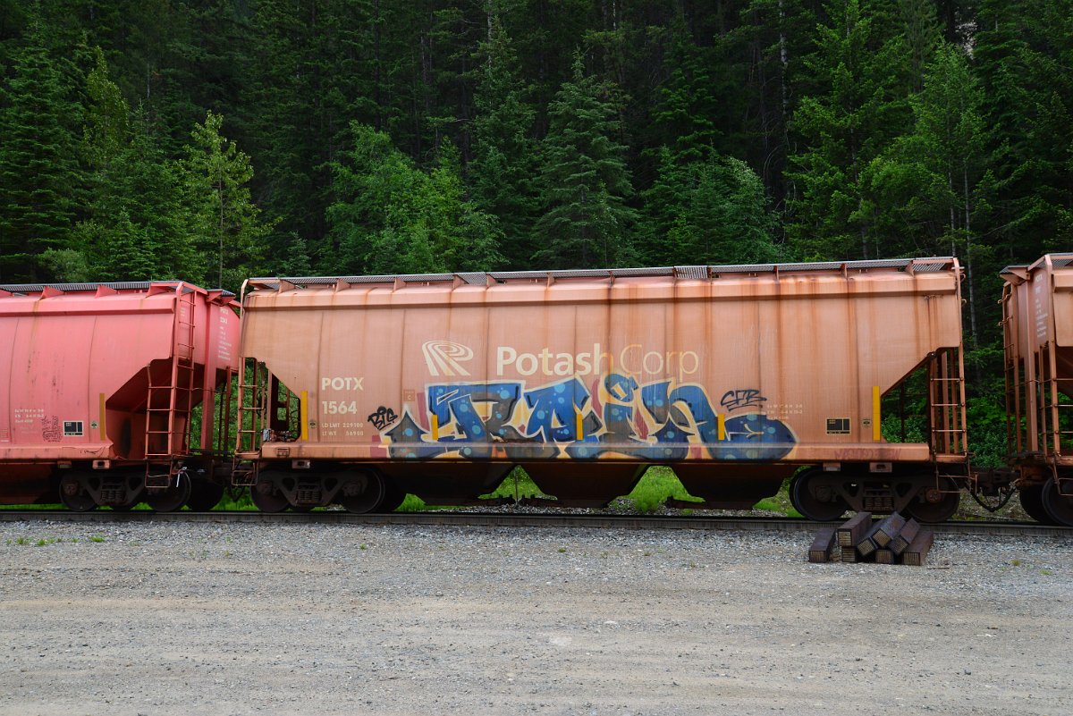 DSC_1917.JPG
