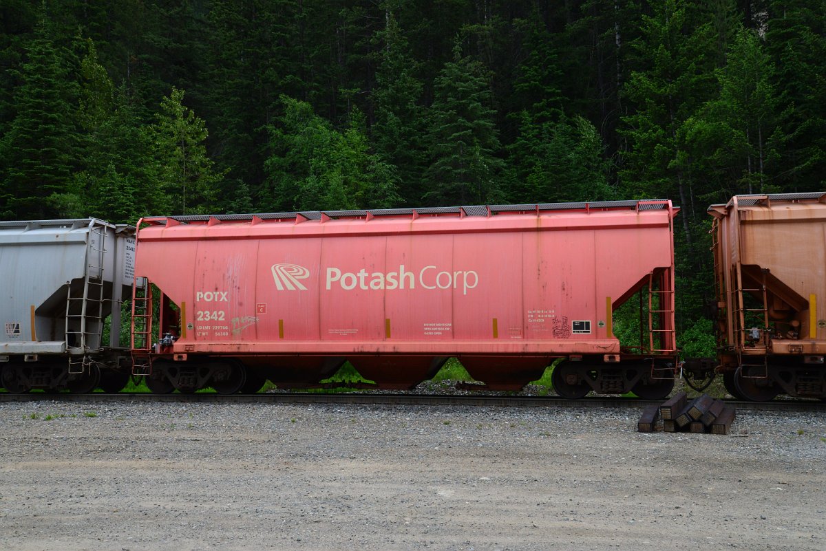 DSC_1918.JPG