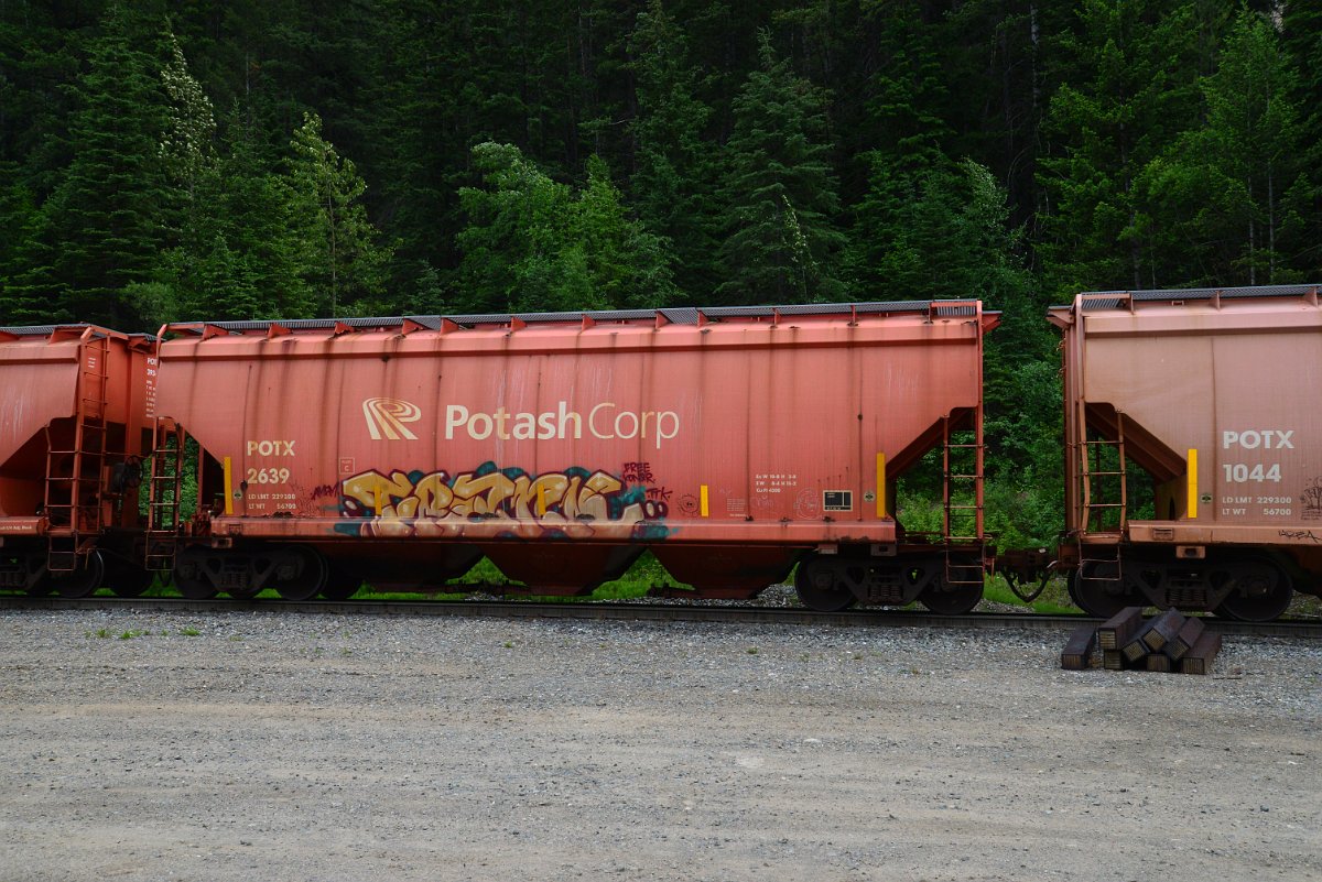 DSC_1922.JPG