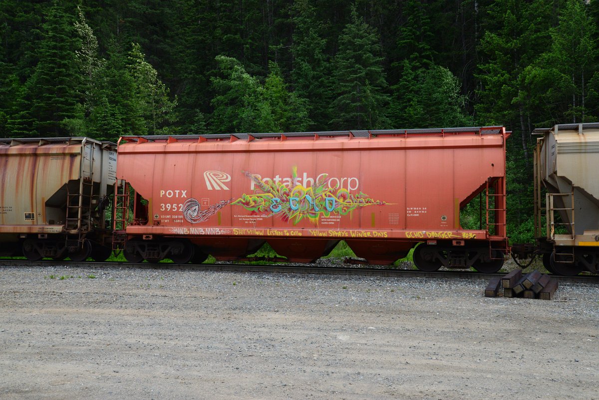 DSC_1925.JPG