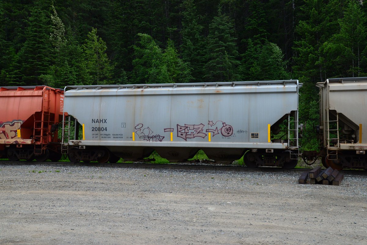 DSC_1928.JPG